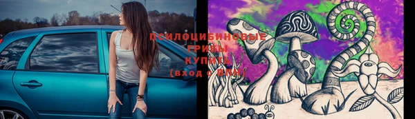 a pvp Алексин