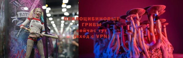 a pvp Алексин