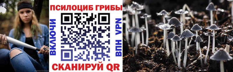 Галлюциногенные грибы MAGIC MUSHROOMS  дарнет шоп  Георгиевск 
